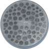 Humidificateur pour 100 cigares XIKAR gel