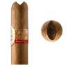 Coupe cigare V Xikar VX2