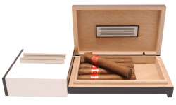 Cendrier cave à cigare