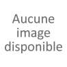 Adorini