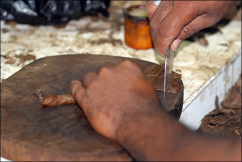 La fabrication d'un cigare par un torcedor à Cuba - © FOTOLIA