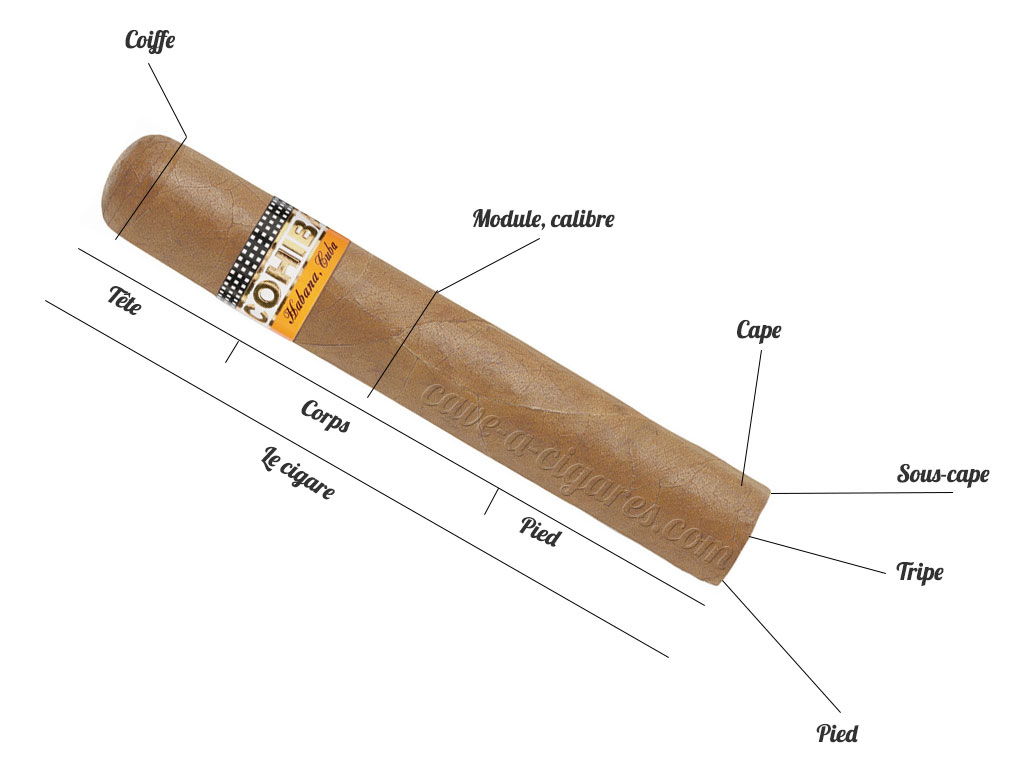 Comment garder le cigare cubain en parfait état