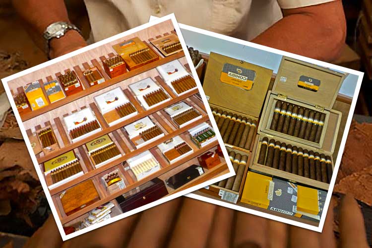 stockage des cigares